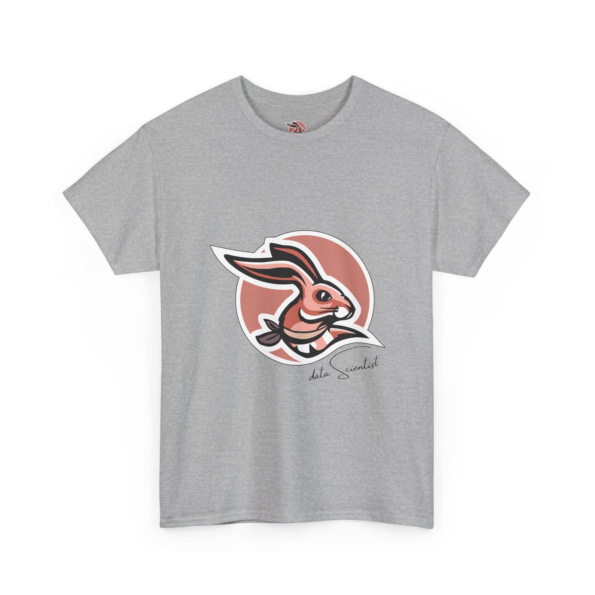 Rabbit Logo- The Data Scientist